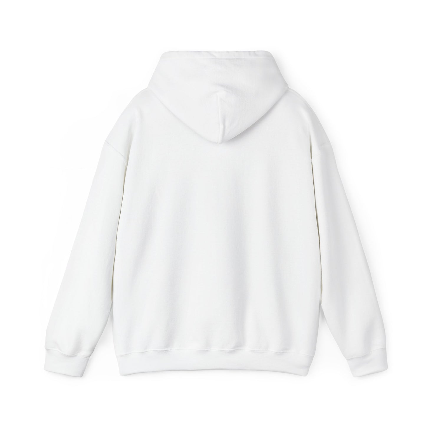 Takiavo Chameleon Art – Hoodie